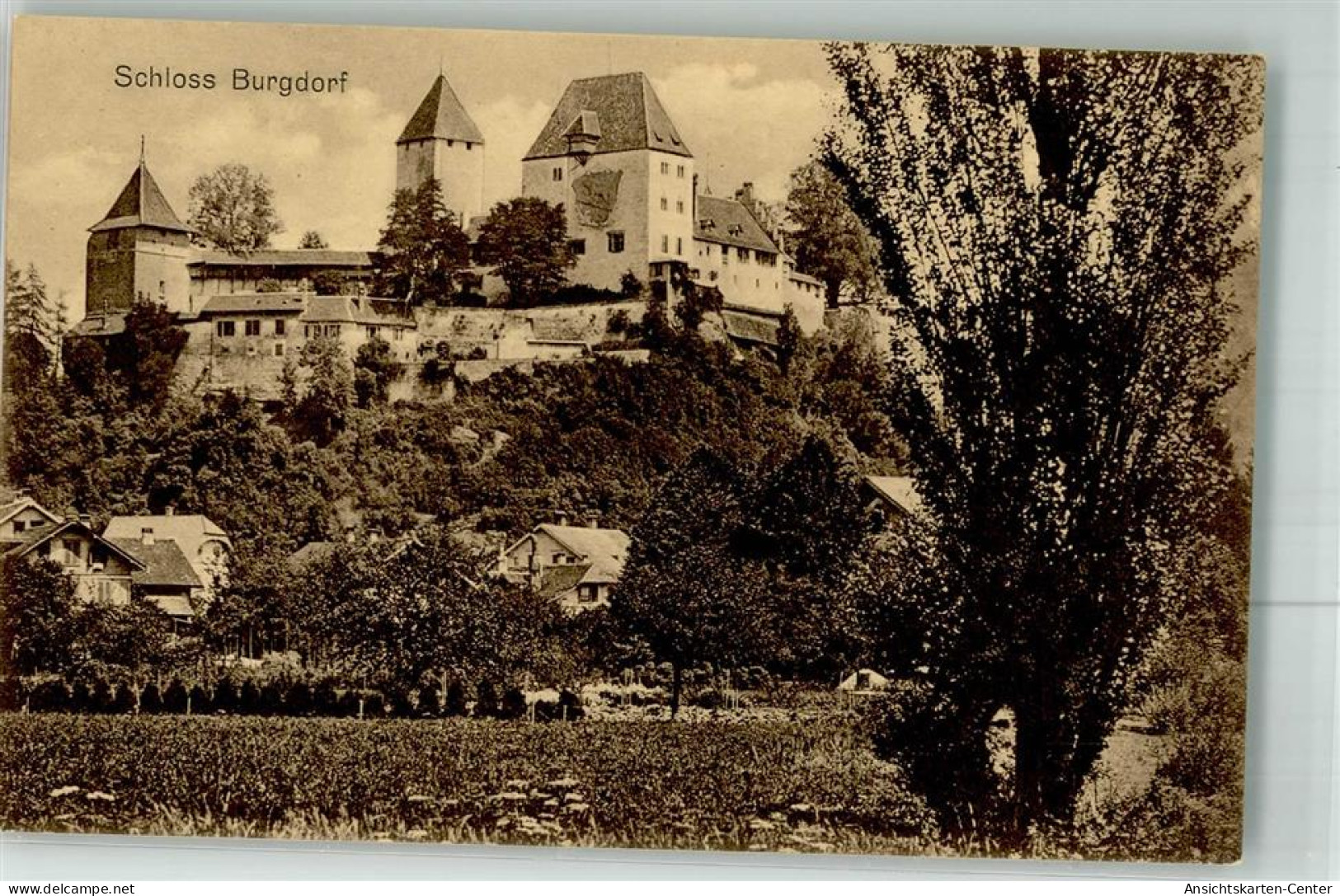 38023263 - Burgdorf Berthoud