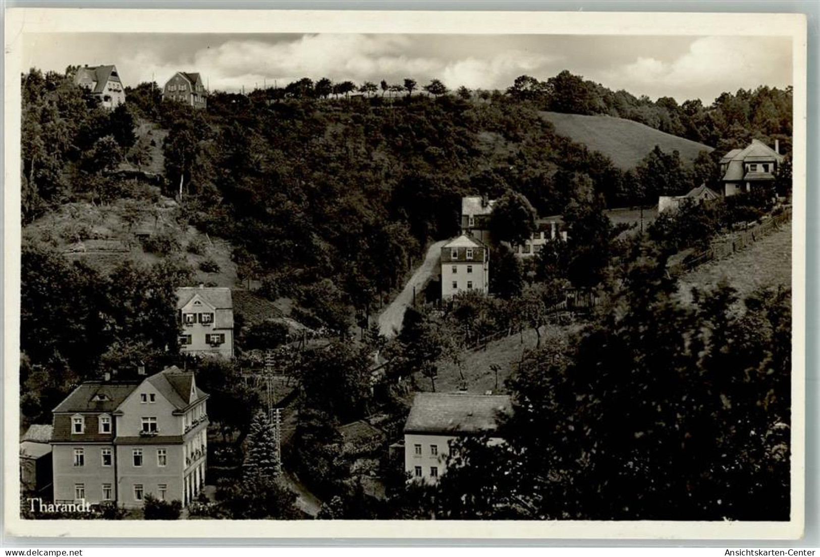 38029372 - Tharandt