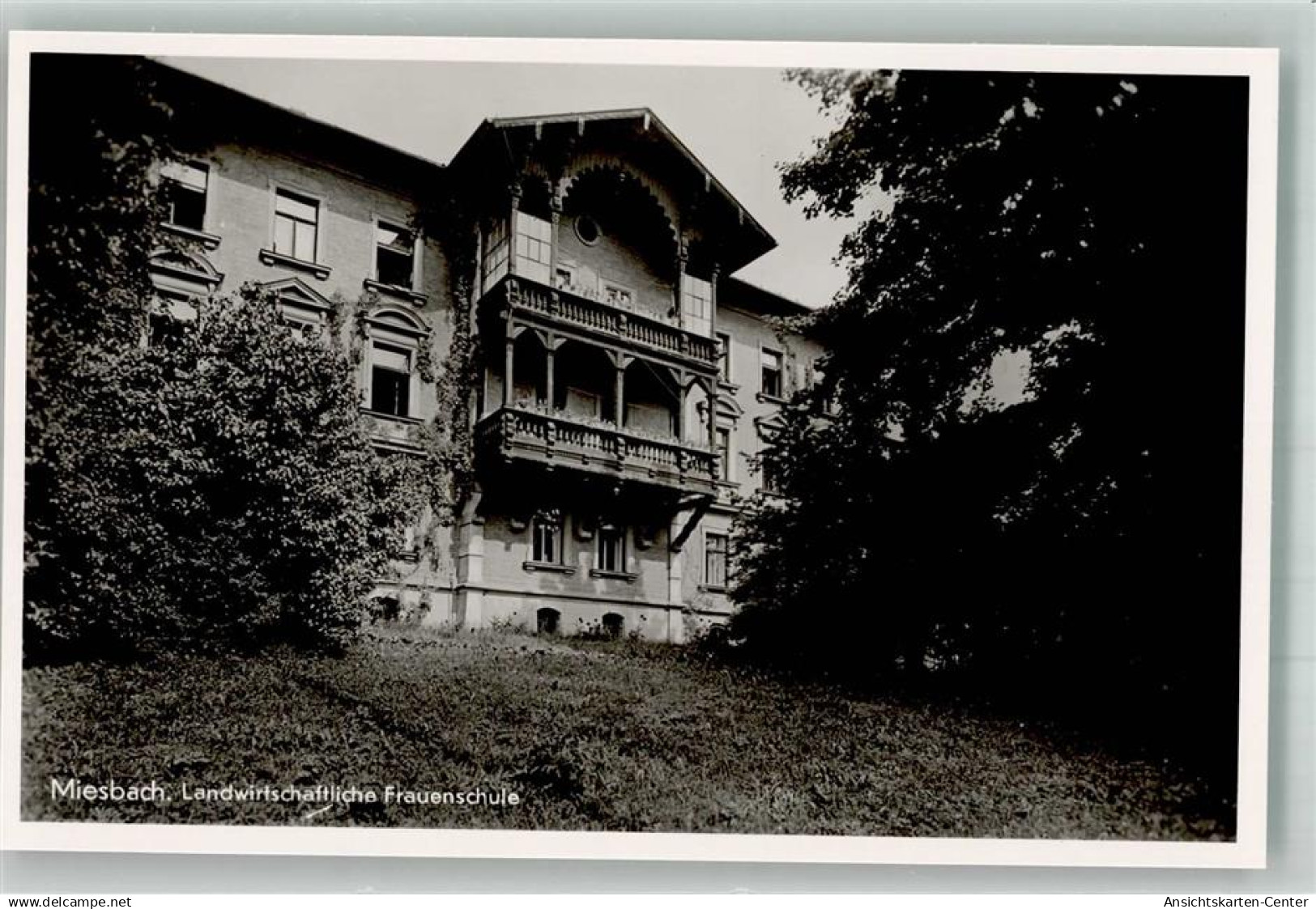 38031525 - Miesbach
