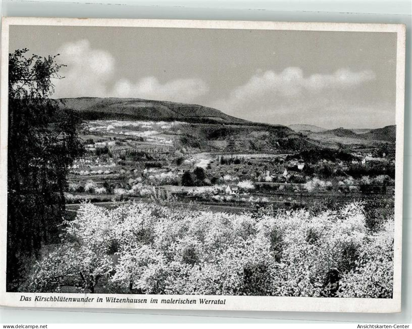 38031714 - Witzenhausen