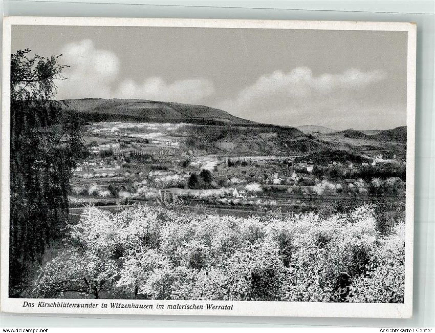 38031715 - Witzenhausen