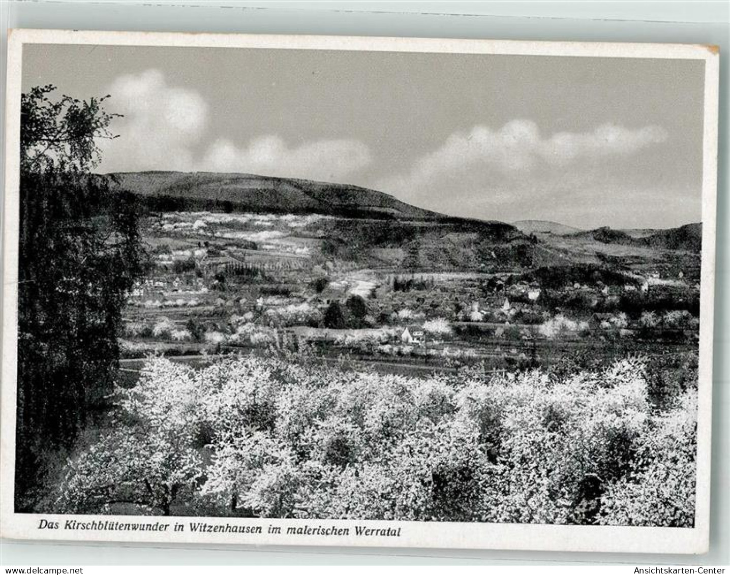 38031716 - Witzenhausen