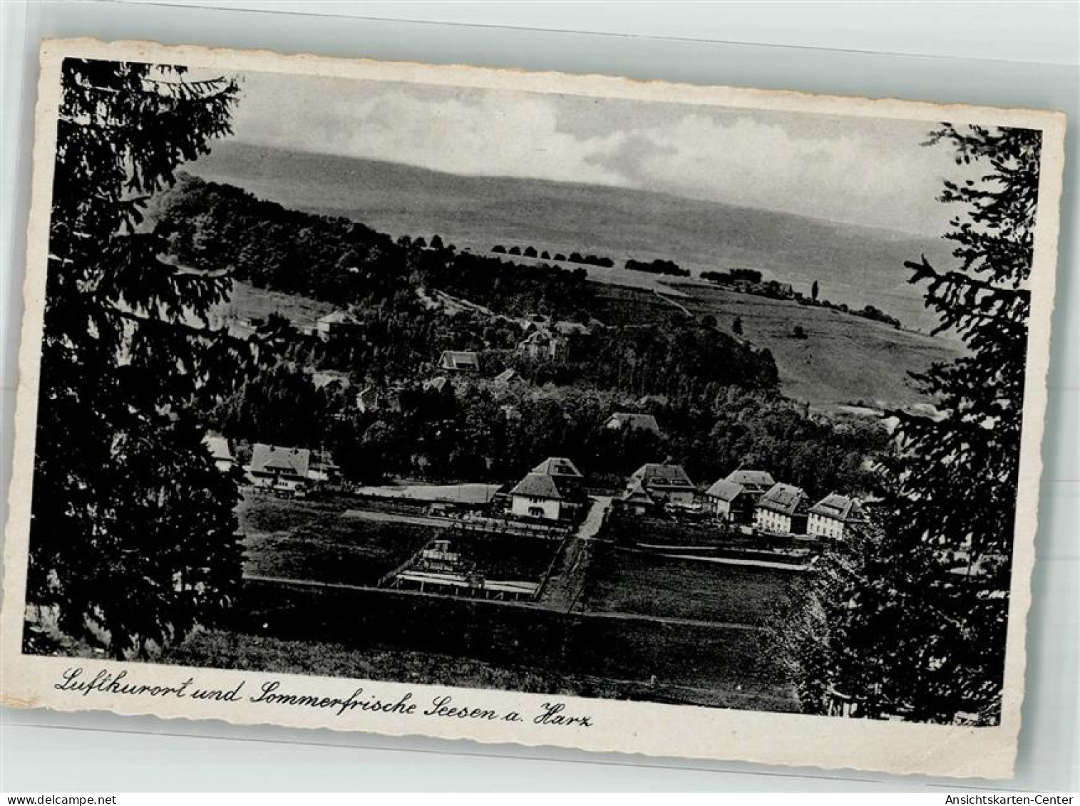 38037671 - Seesen , Harz