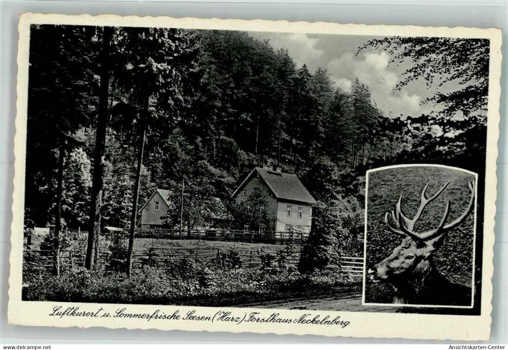 38037746 - Seesen , Harz