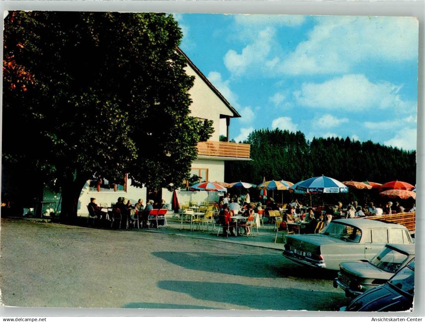 38041557 - Regensberg