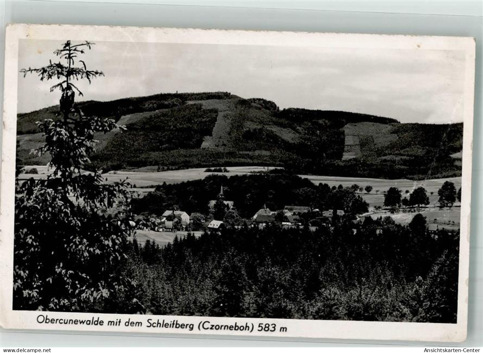 38043996 - Cunewalde