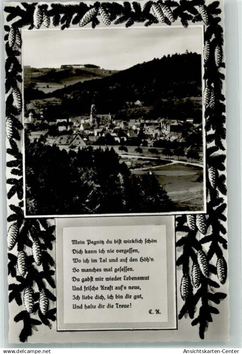 38049065 - Pegnitz