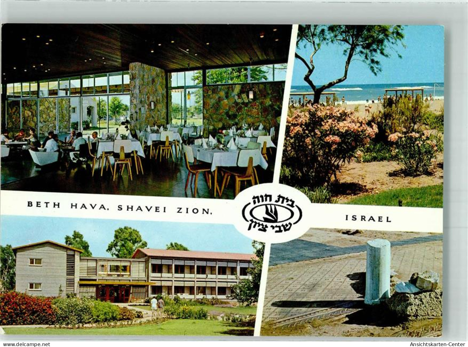 38056989 - Schawe Zion