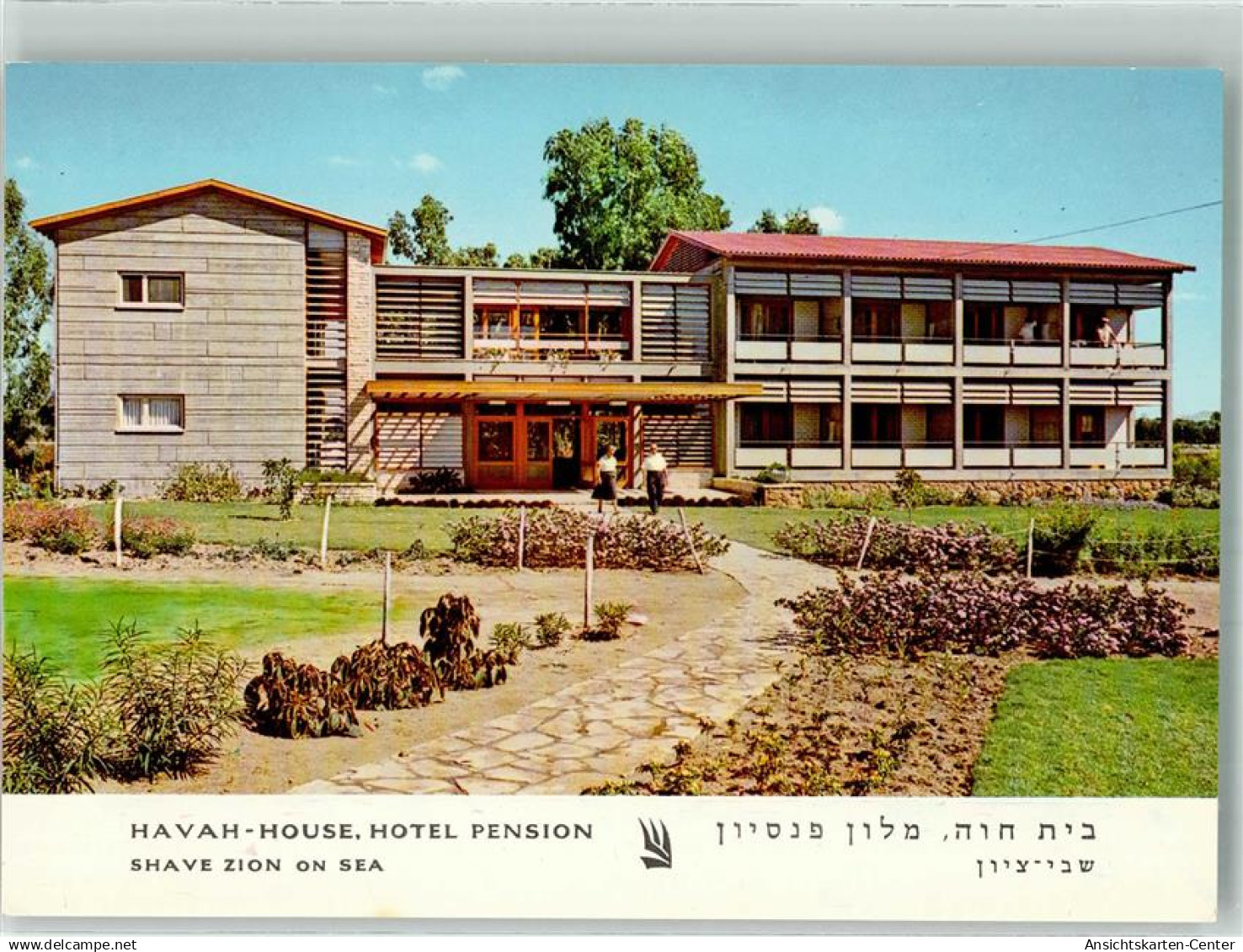 38056994 - Schawe Zion