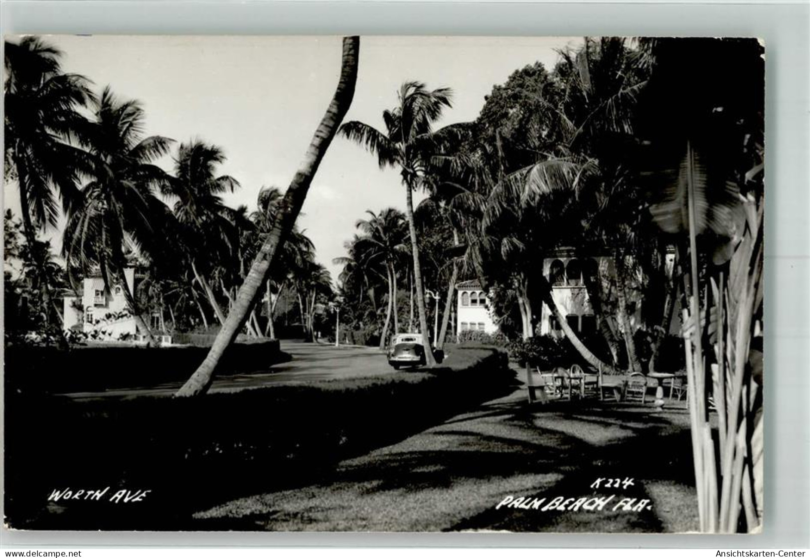 38064282 - Palm Beach