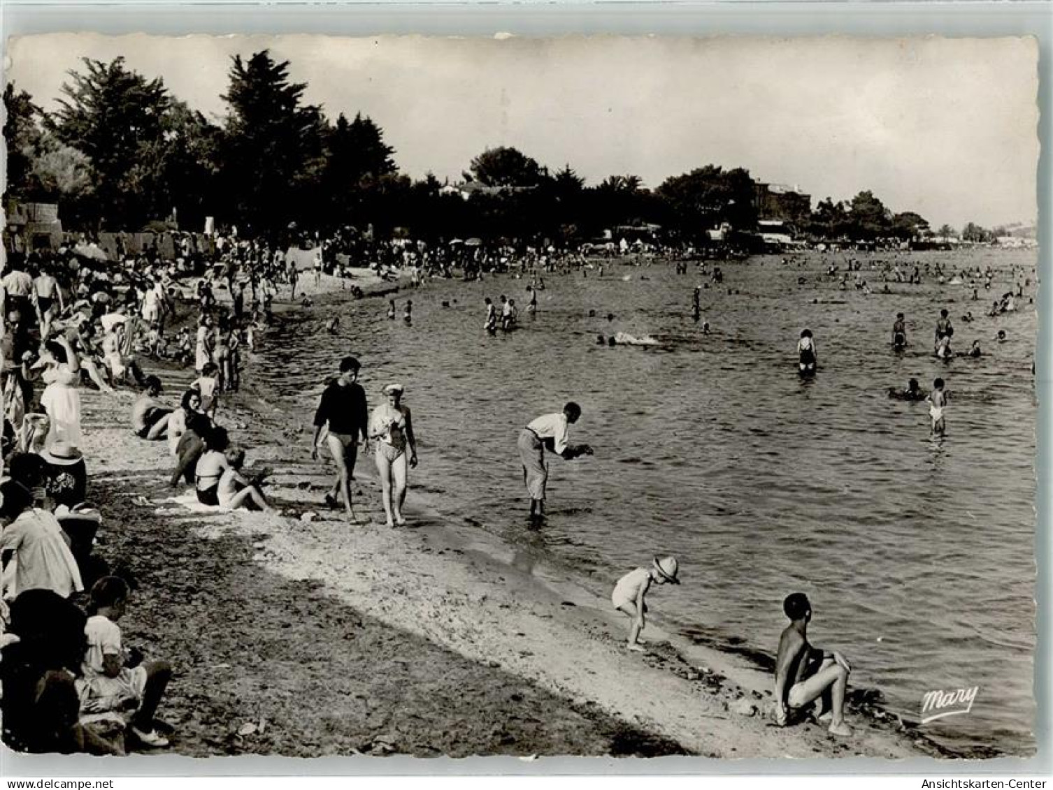 38064565 - La Seyne-sur-Mer