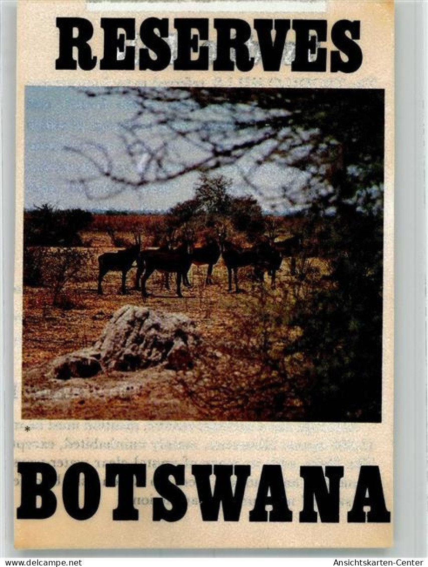 38064727 - Reservat Wildtiere Gaborone