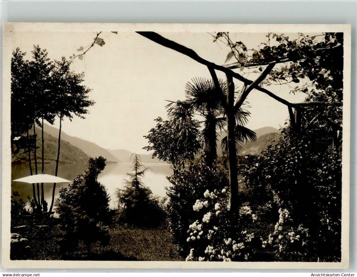 38071945 - Agno