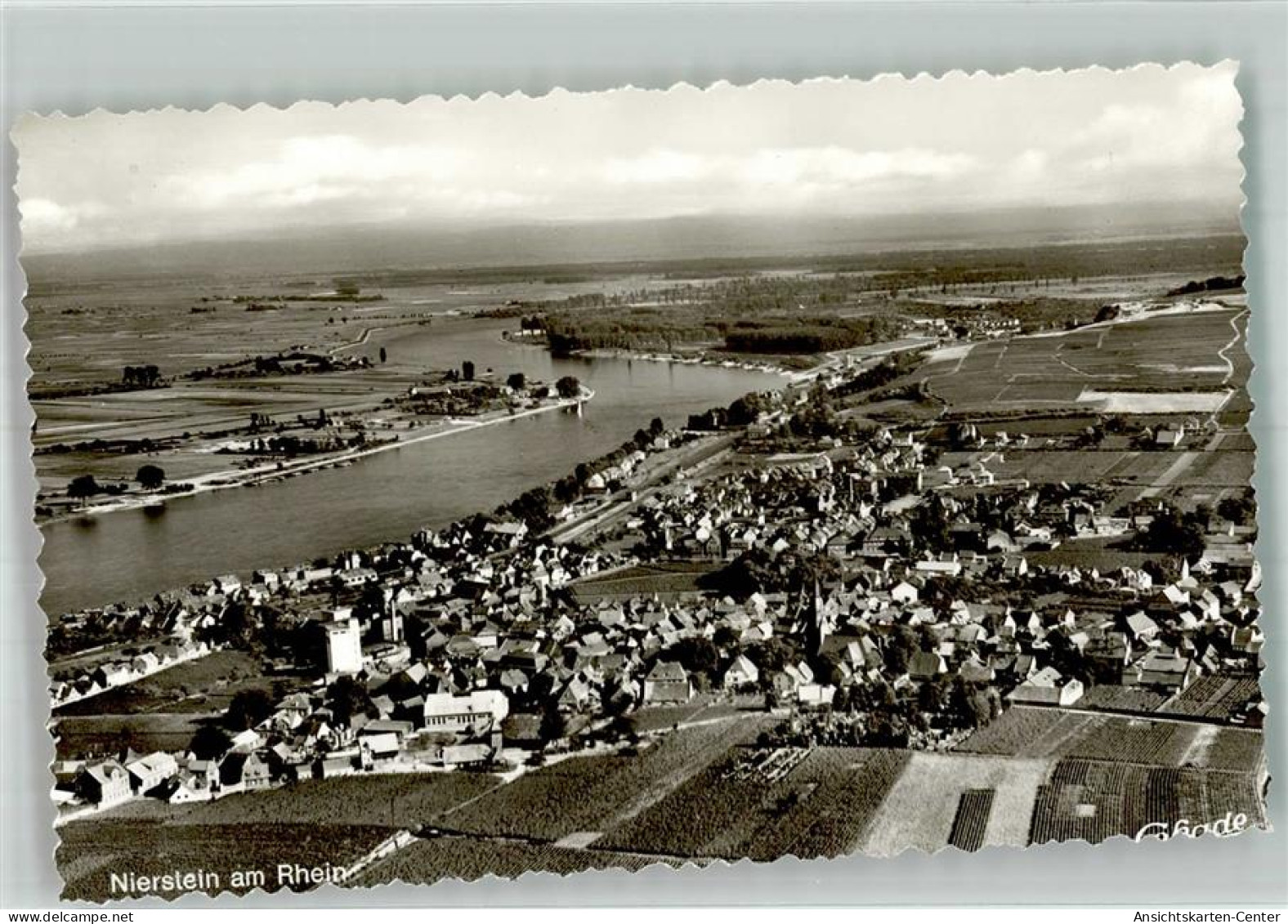 38077453 - Nierstein