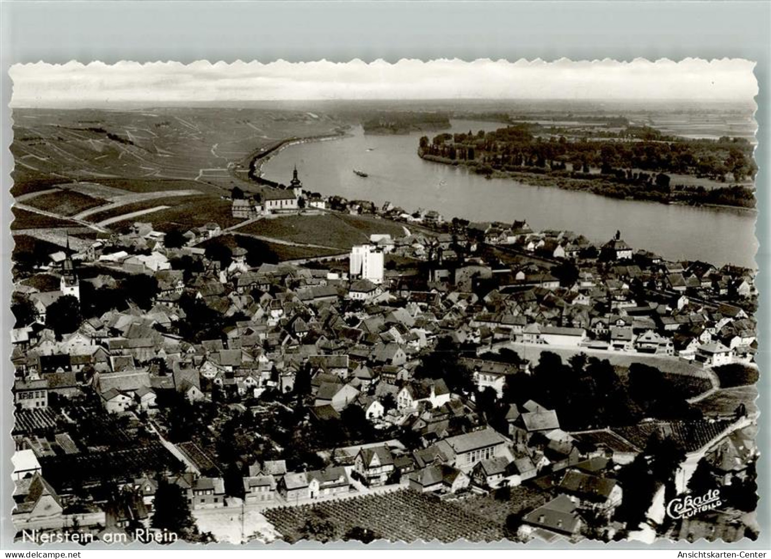 38077454 - Nierstein