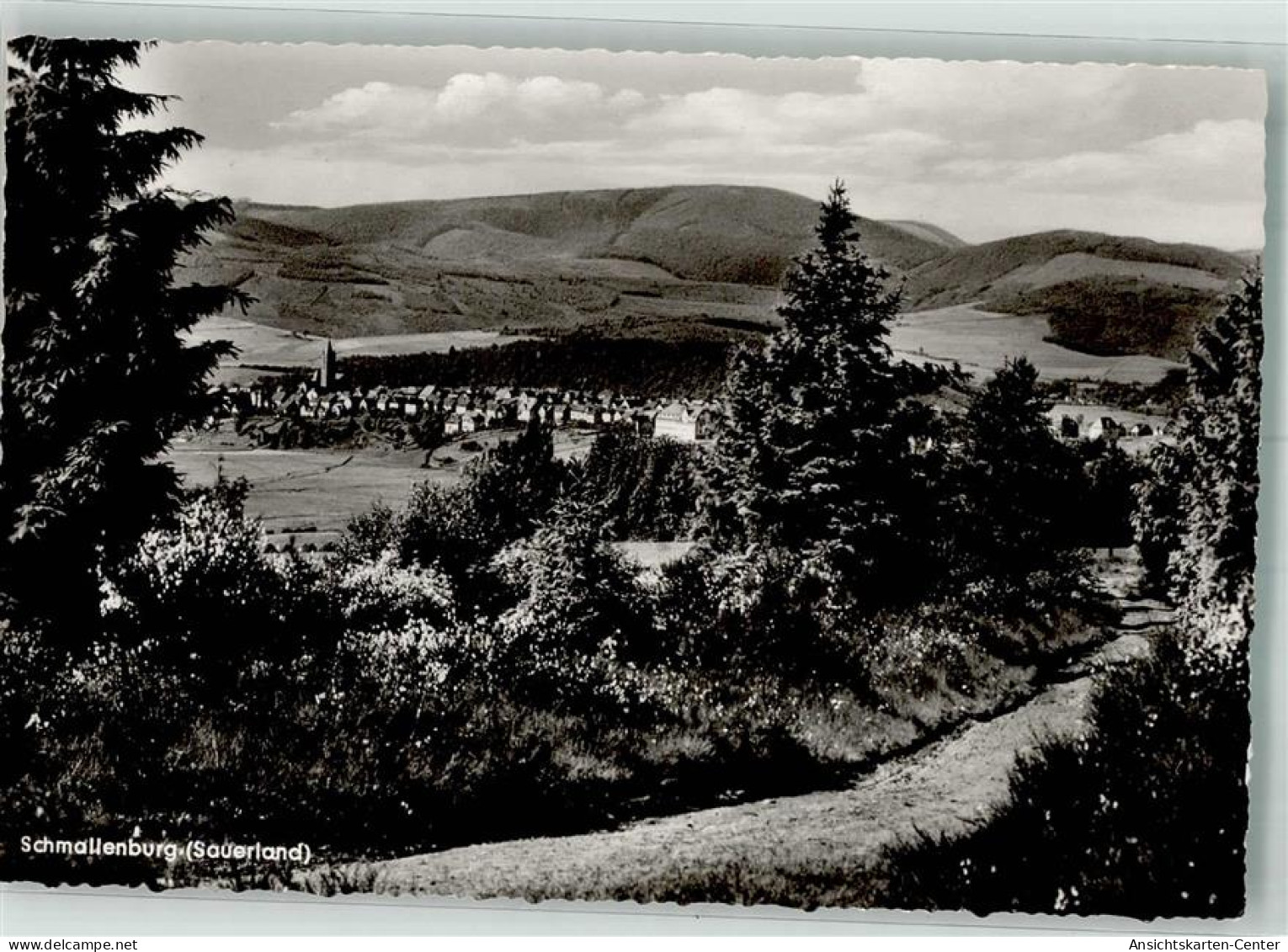 38078670 - Schmallenberg