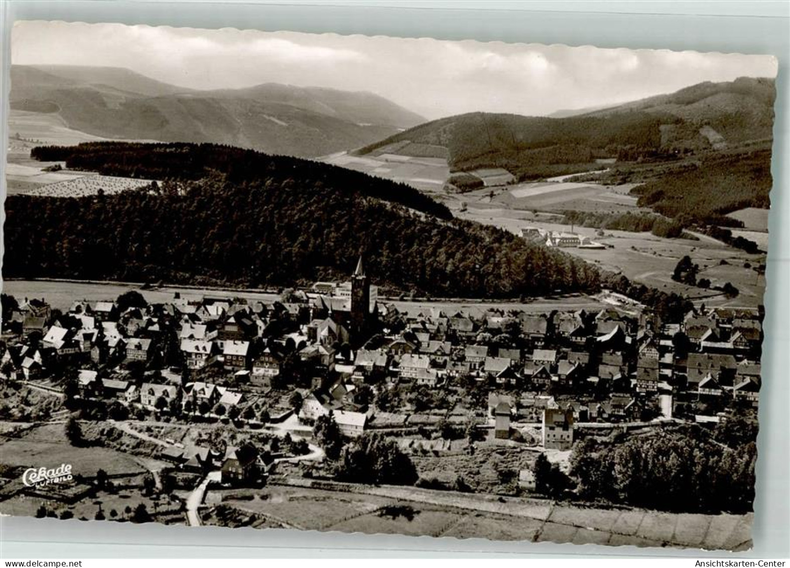 38078681 - Schmallenberg