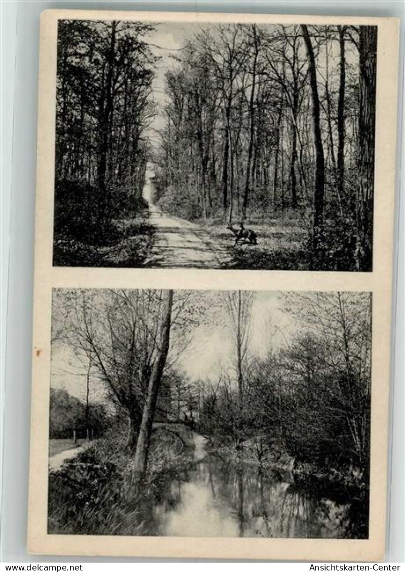 38087557 - Wolfen , Anh