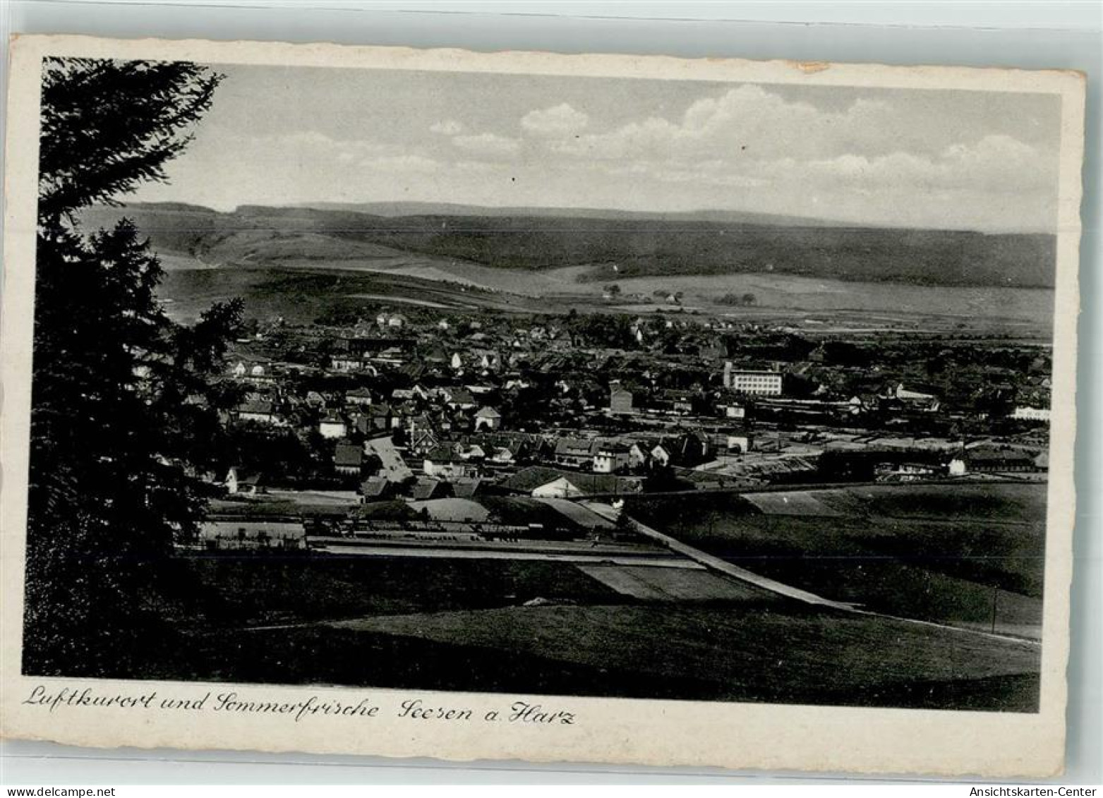 38089070 - Seesen , Harz