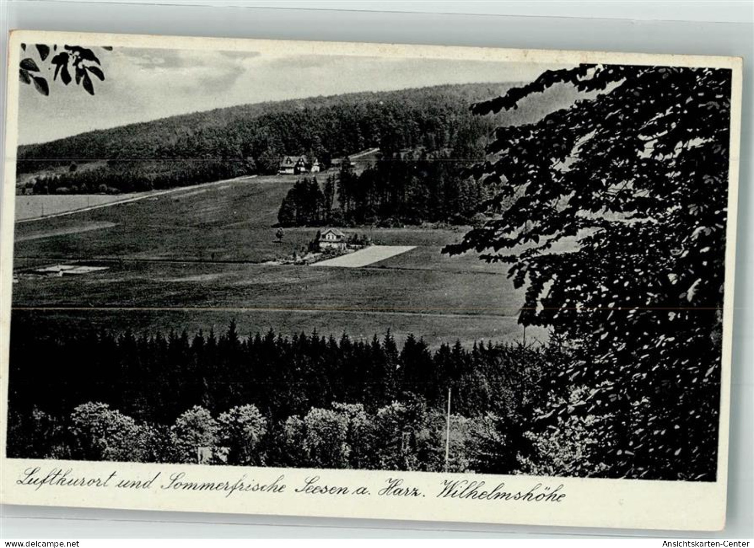 38089071 - Seesen , Harz