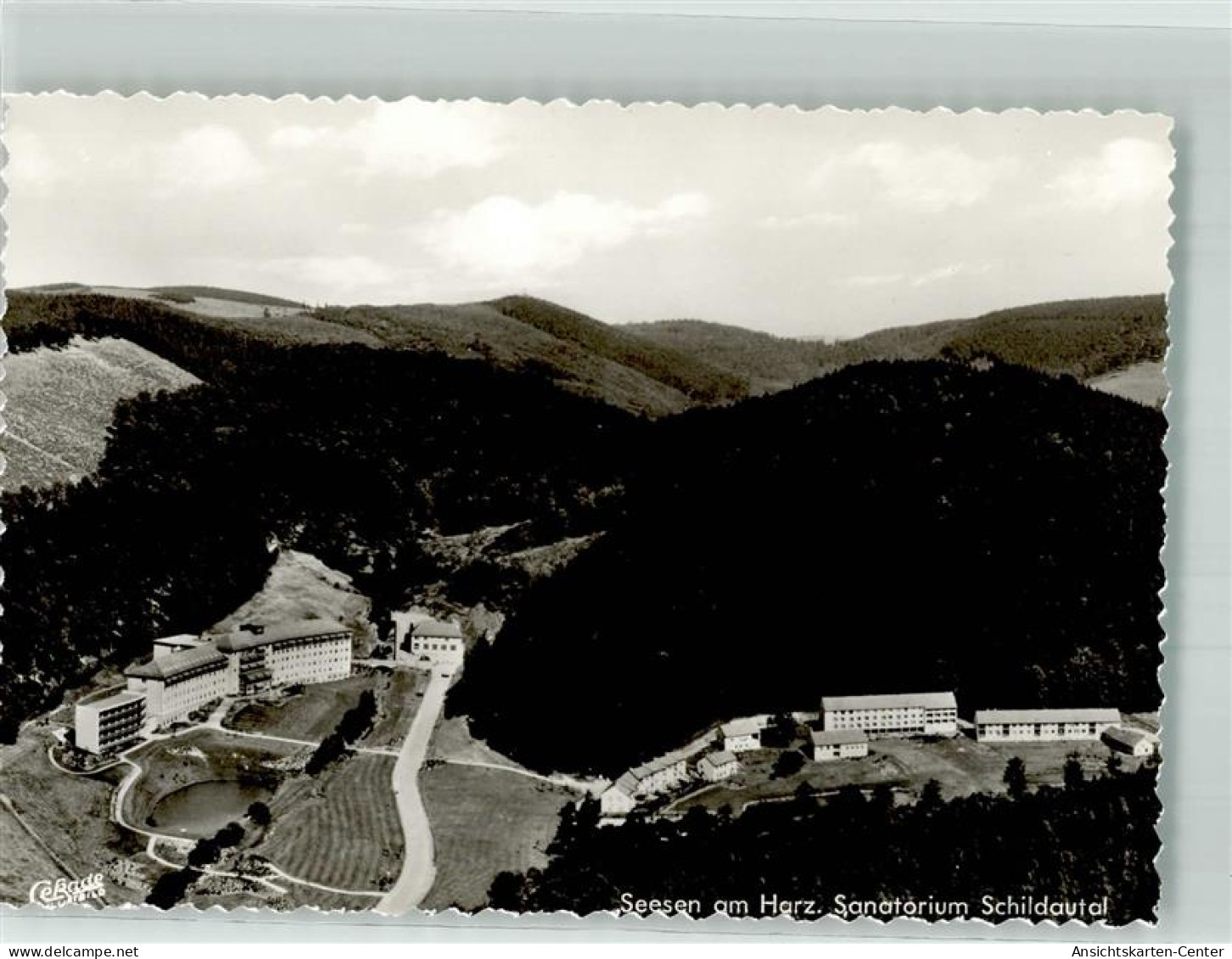 38089328 - Seesen , Harz