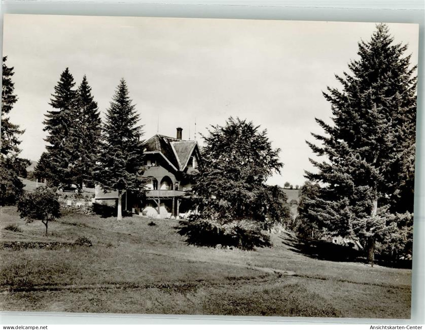 38093312 - Hinterzarten