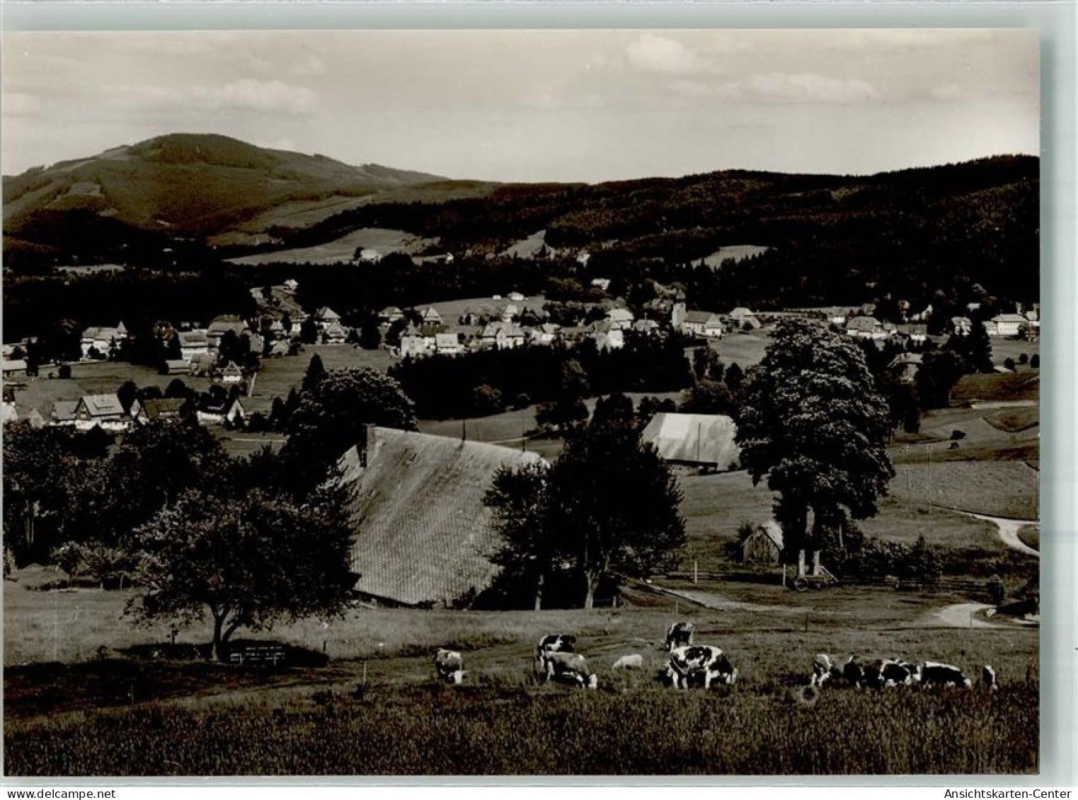 38093325 - Hinterzarten