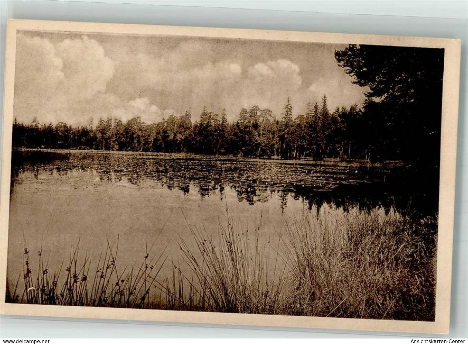 38094256 - Gehren , Thuer