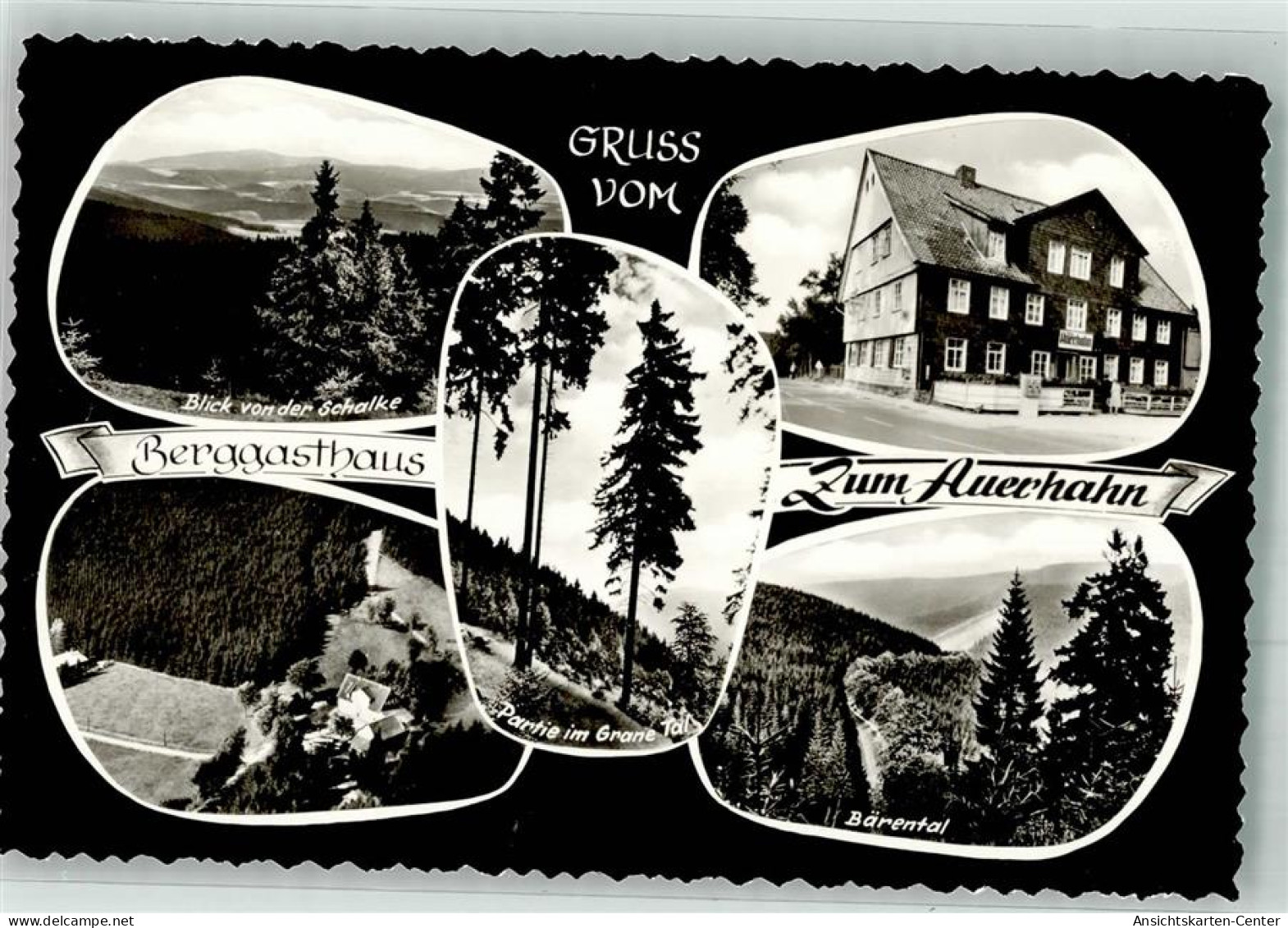 38095420 - Auerhahn , Oberharz