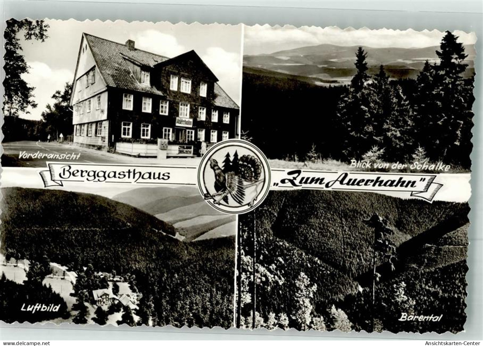 38095421 - Auerhahn , Oberharz