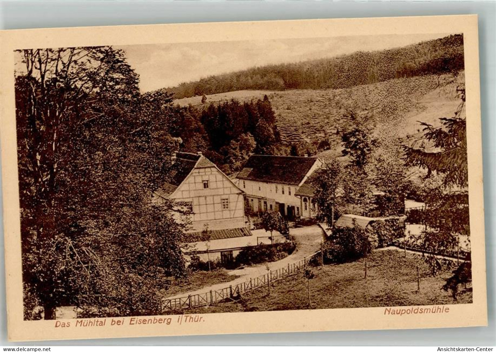 38098786 - Eisenberg , Thuer