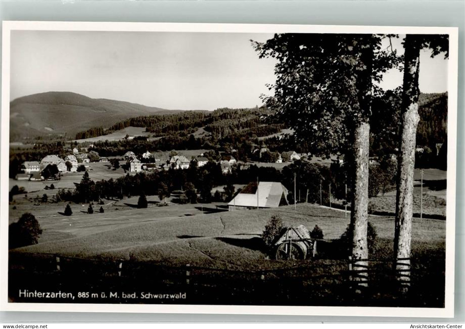 38099254 - Hinterzarten