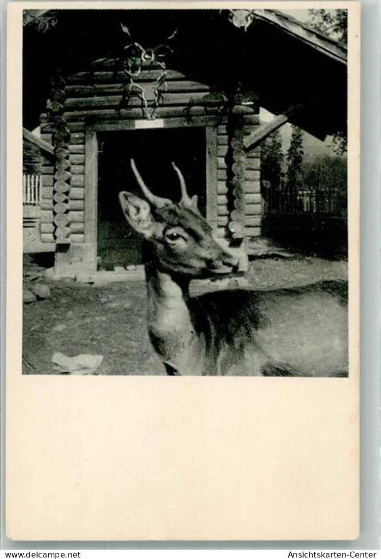 38100111 - Kaltbrunn