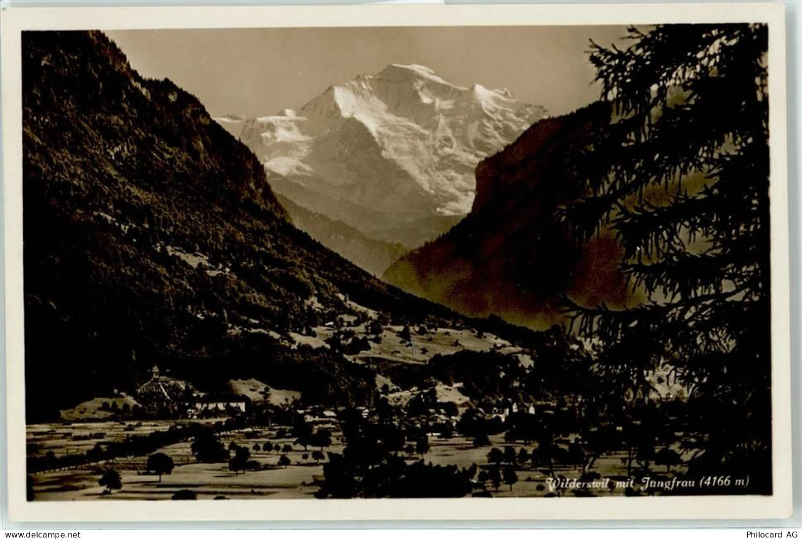 3812 Wilderswil - Jungfrau - 51674575