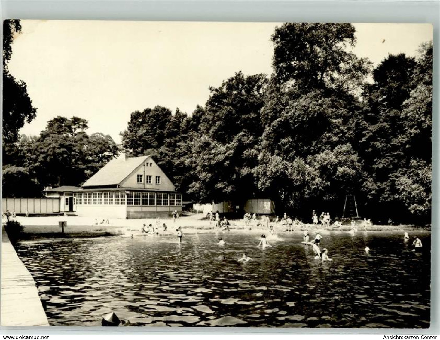 38135696 - Muellrose