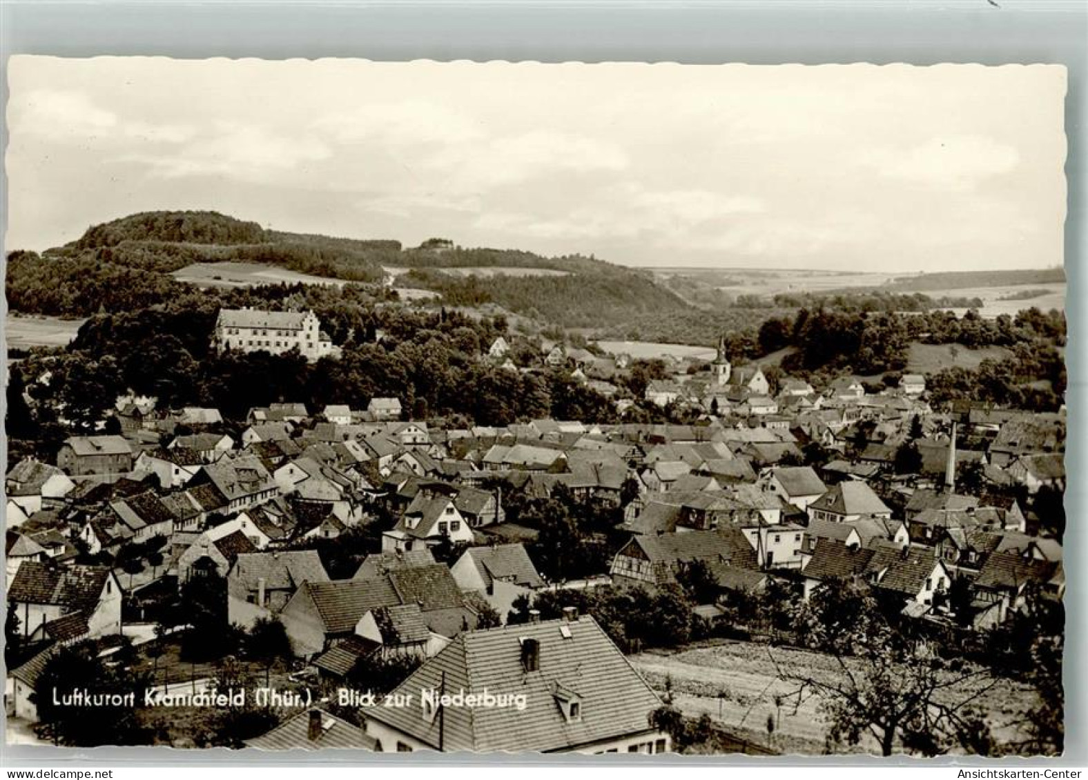 38138193 - Kranichfeld