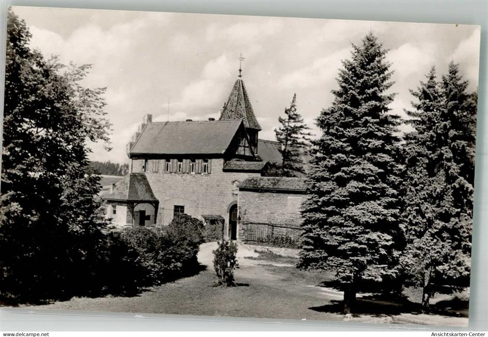 38138256 - Kranichfeld