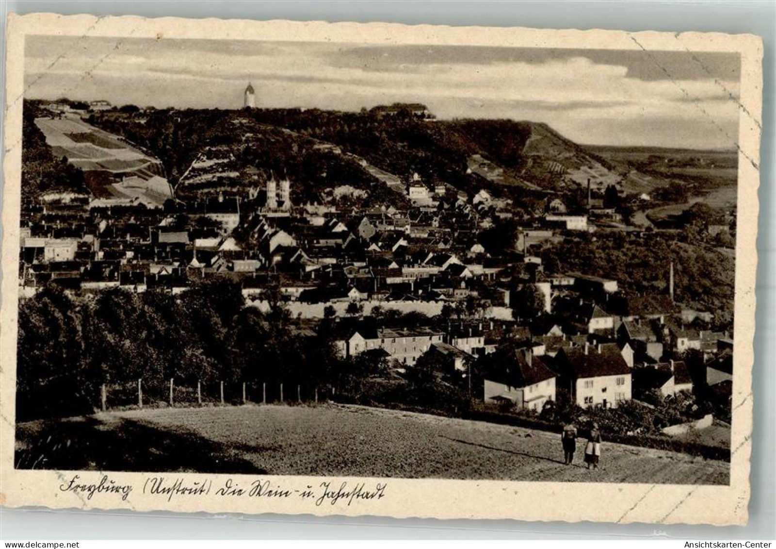 38138582 - Freyburg Unstrut