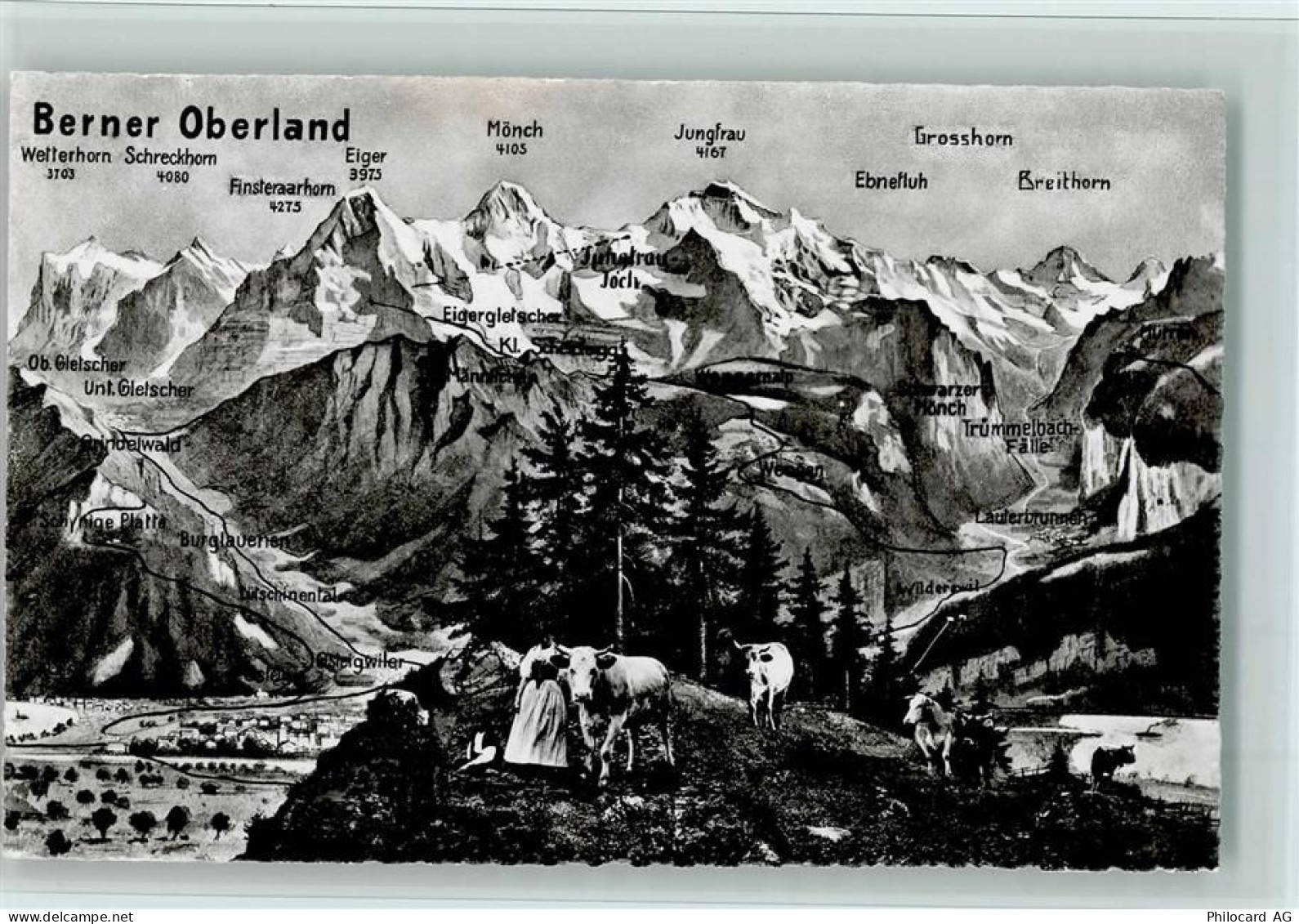 3814 Gsteigwiler Fotomontage AK Bauersfrau Kühe - 12111329