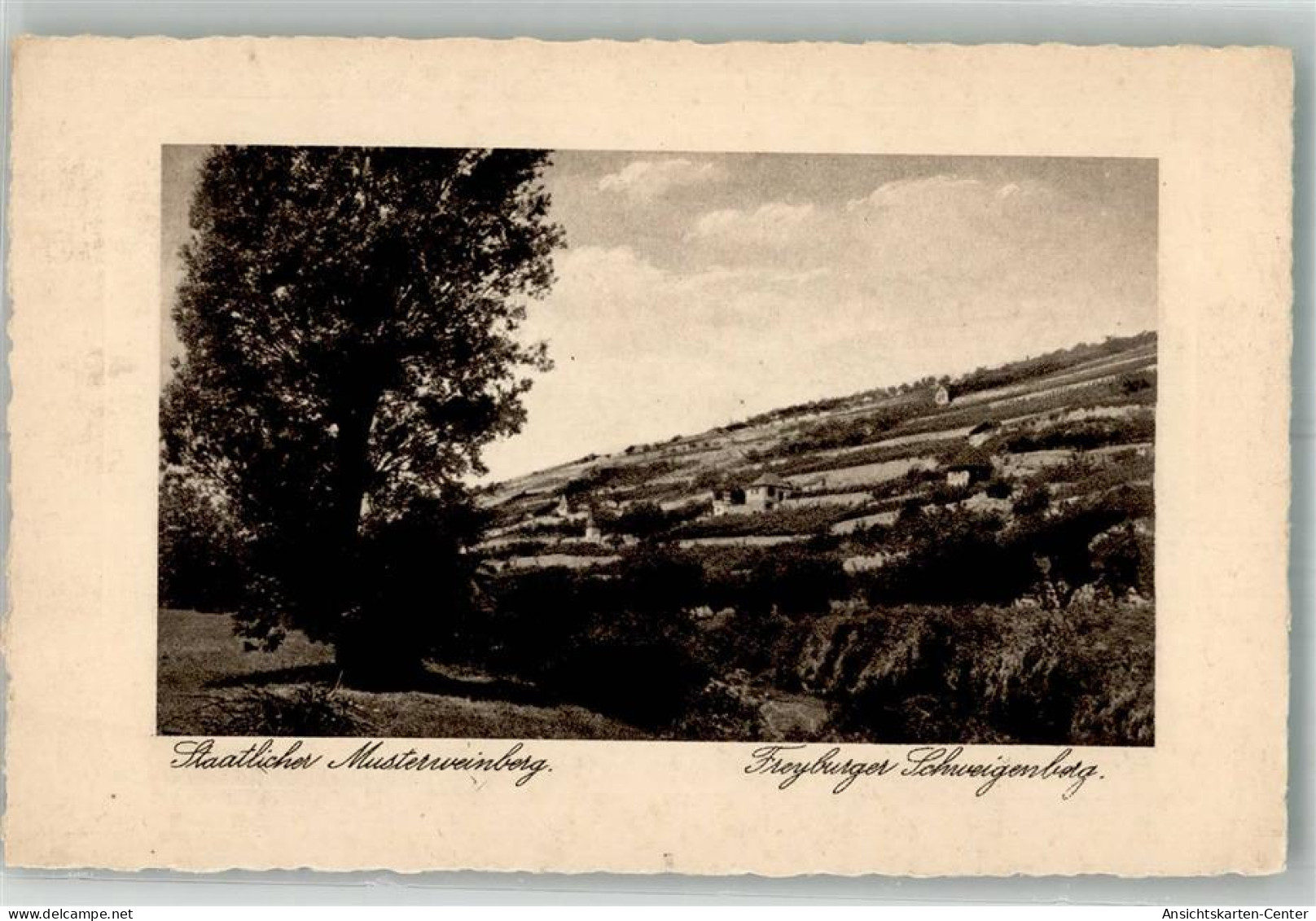 38140952 - Freyburg Unstrut