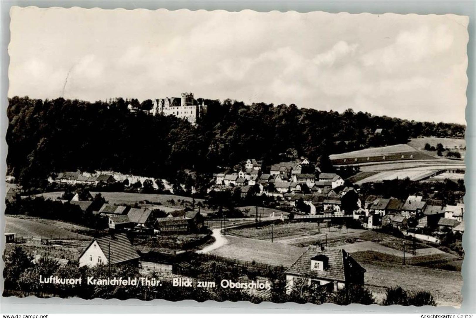 38142743 - Kranichfeld