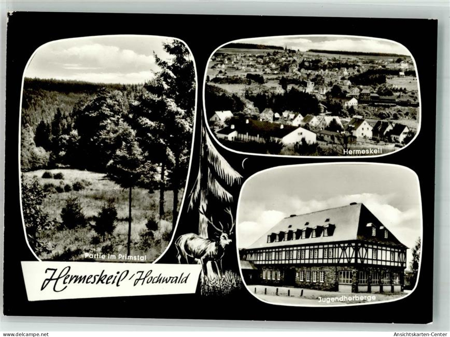 38143021 - Hermeskeil