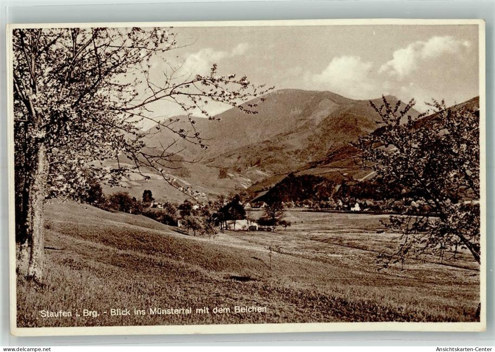 38143659 - Staufen , Breisgau