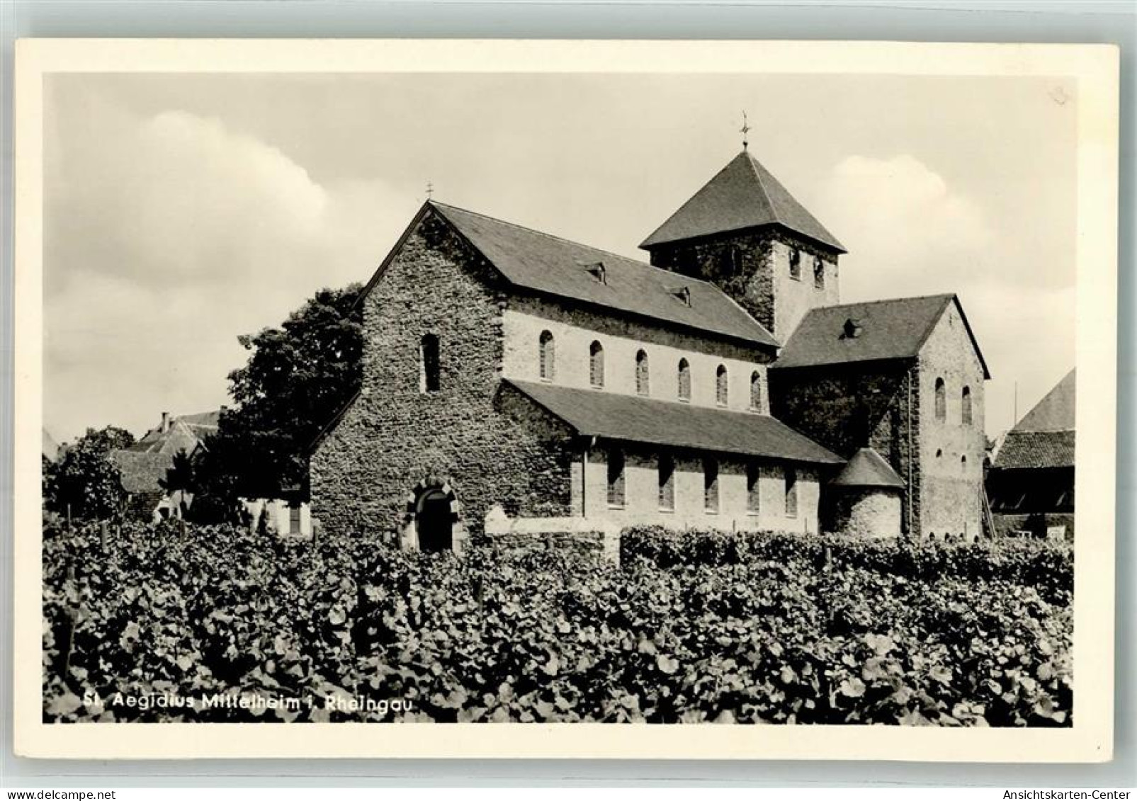 38143693 - Mittelheim , Rheingau