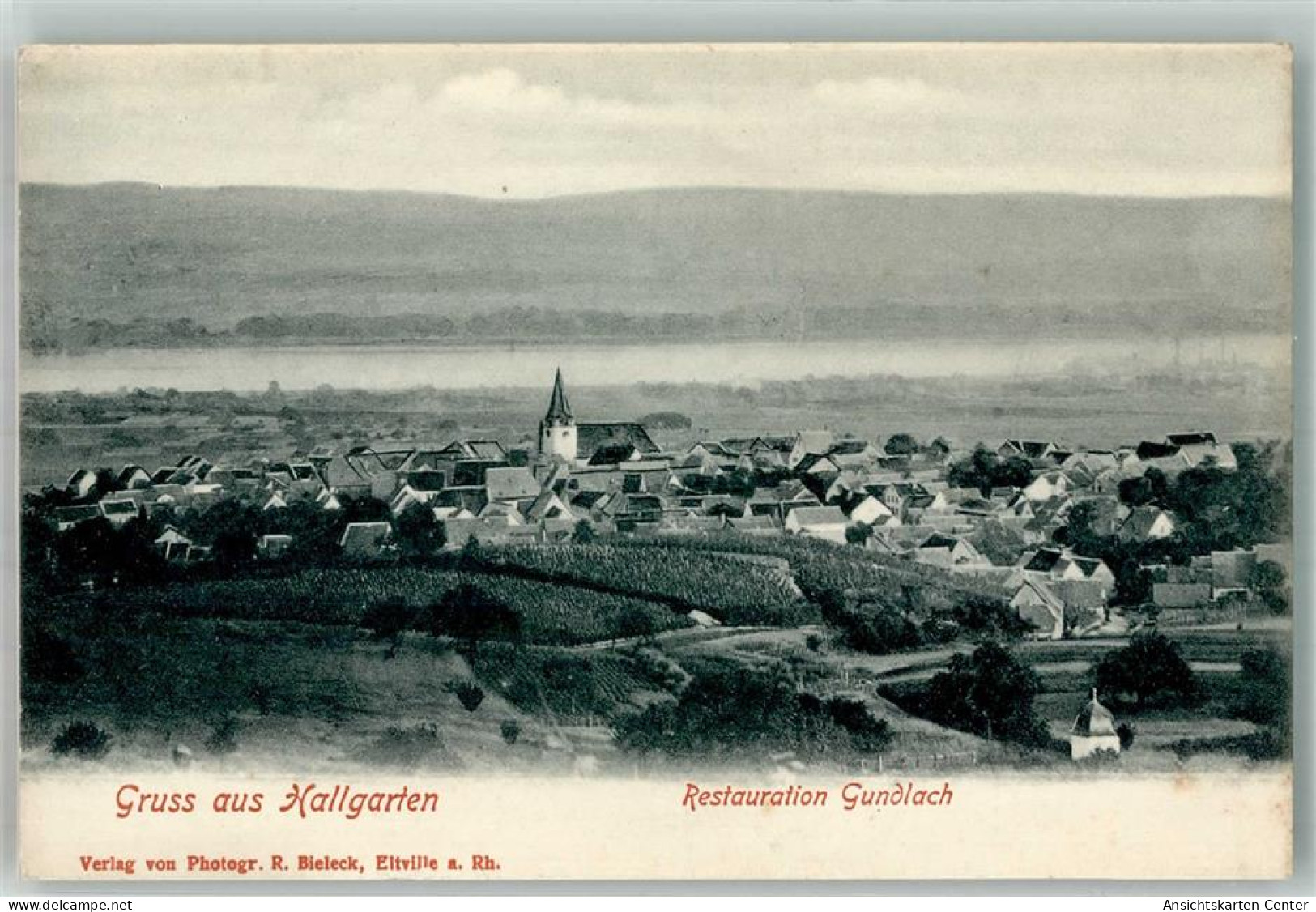 38143727 - Hallgarten , Rheingau