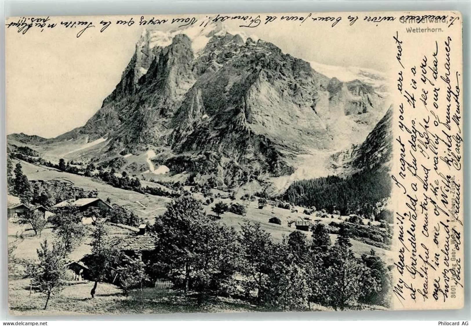 3818 Grindelwald - 39366174