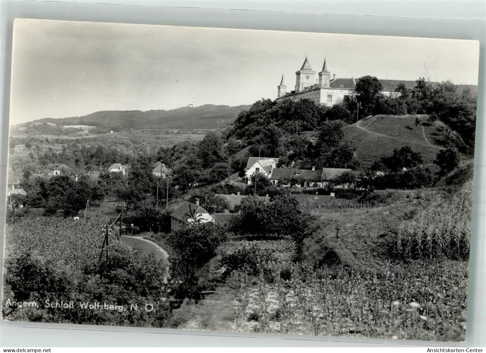 38186627 - Wolfsberg