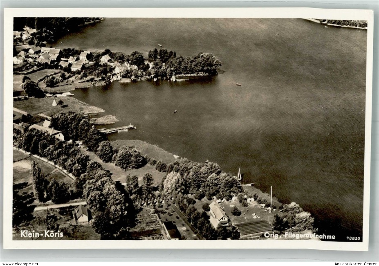 38202634 - Kleinkoeris