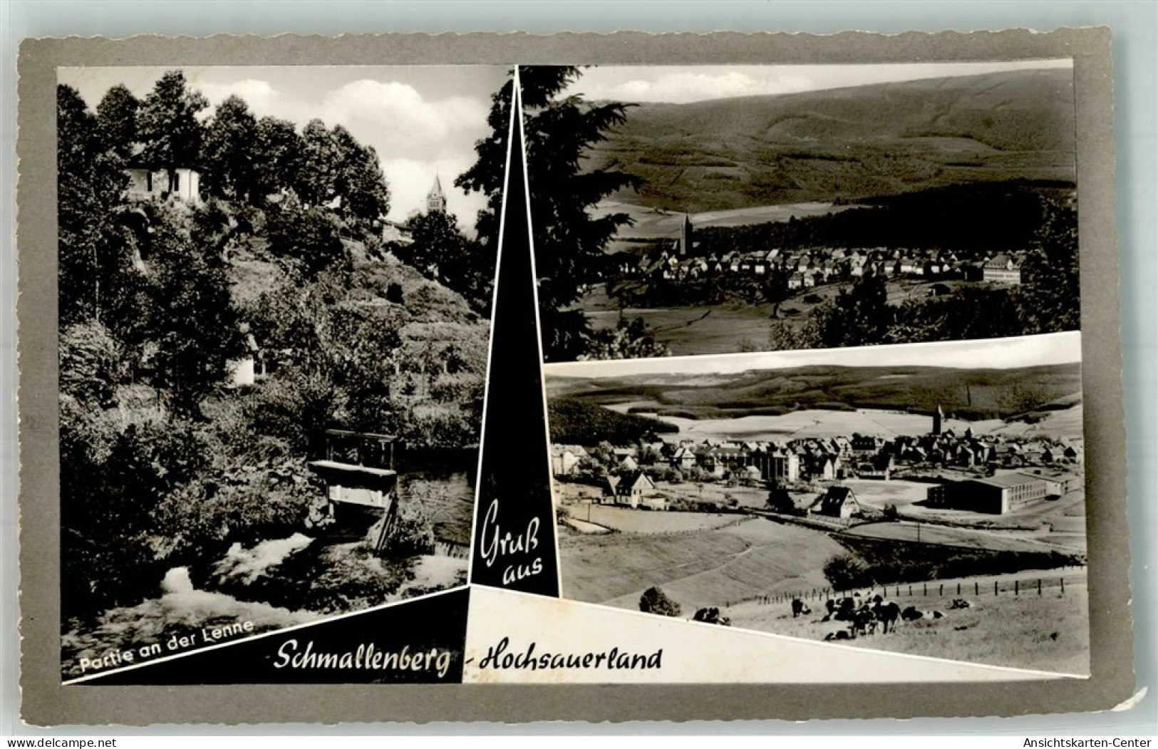 38207936 - Schmallenberg