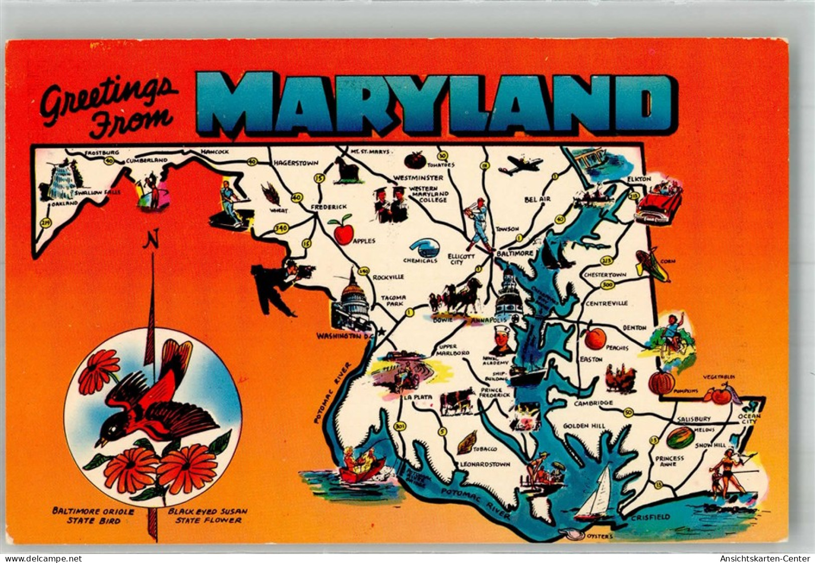 38218342 - Baltimore